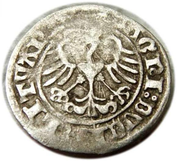 Half groschen 1511 Sigismund I the Old Krakow (2)