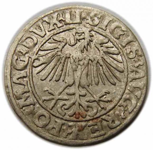 Półgrosz 1549 Zygmunt II August Wilno (2)