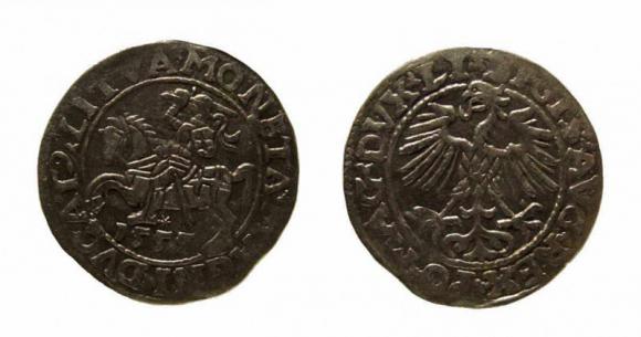 Półgrosz 1555 Zygmunt II August Wilno (1)