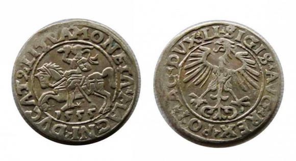 Półgrosz 1555 Zygmunt II August Wilno (1)