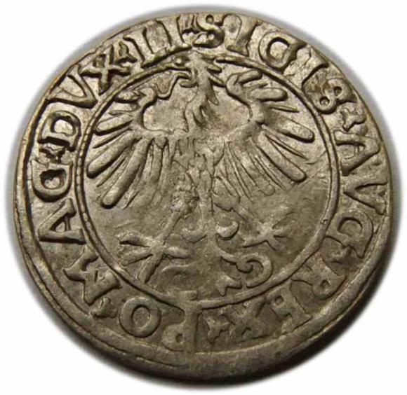 Półgrosz 1556 Zygmunt II August Wilno (2)
