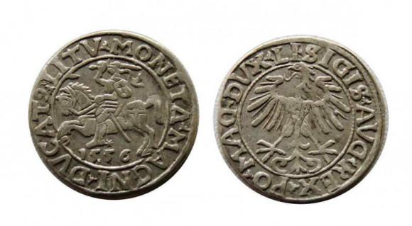 Half groschen 1556 Sigismund II Augustus Vilnius (1)