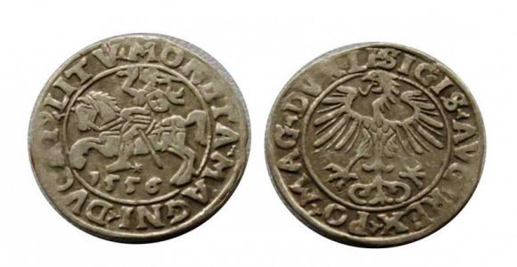 Półgrosz 1556 Zygmunt II August Wilno (1)