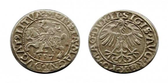 Półgrosz 1557 Zygmunt II August Wilno (1)