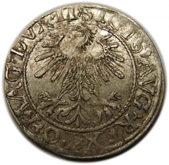 Half groschen 1560 Sigismund II Augustus Vilnius (1)