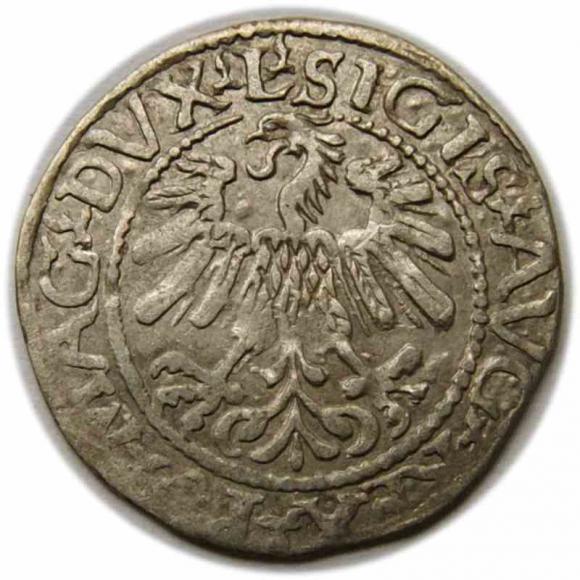 Półgrosz 1560 Zygmunt II August Wilno (2)