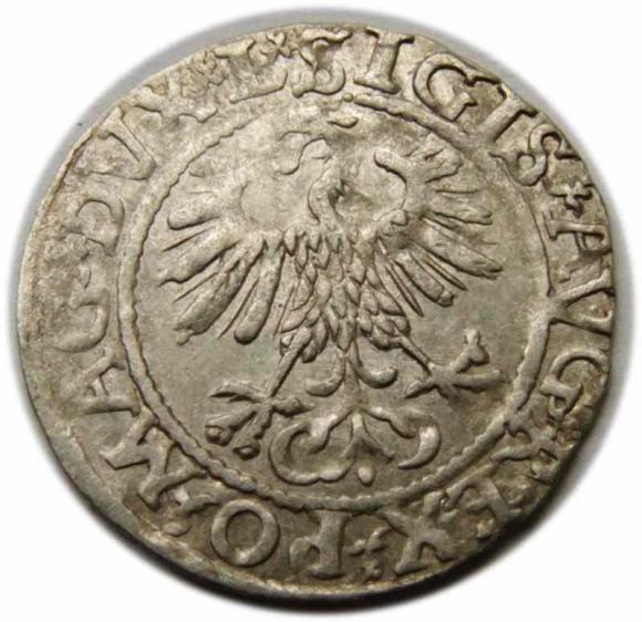 Półgrosz 1561 Zygmunt II August Wilno (2)