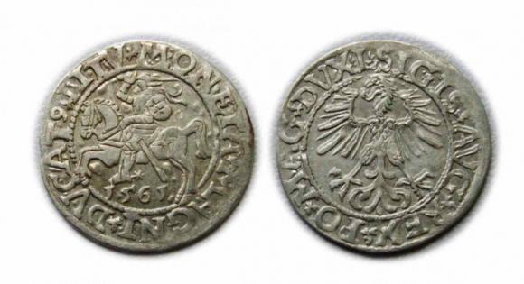 Half groschen 1561 Sigismund II Augustus Vilnius (1)