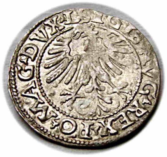 Half groschen 1562 Sigismund II Augustus Vilnius