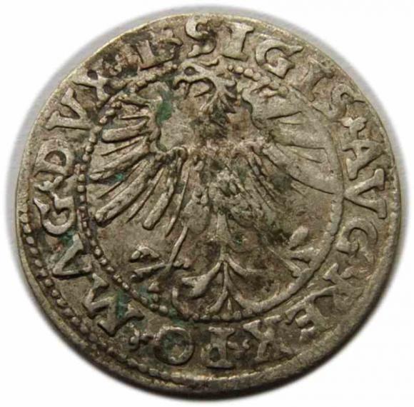 Półgrosz 1563 Zygmunt II August Wilno (2)