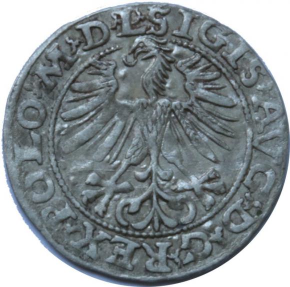 Half groschen 1563 Sigismund II Augustus Vilnius (2)