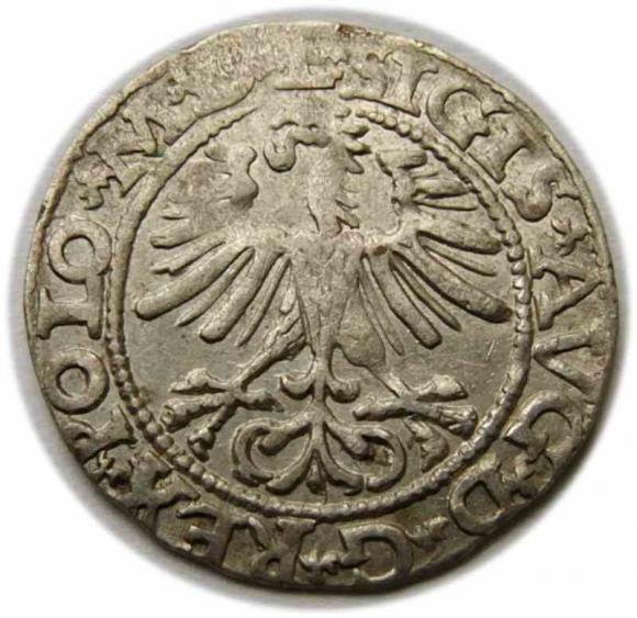 Półgrosz 1564 Zygmunt II August Wilno (2)