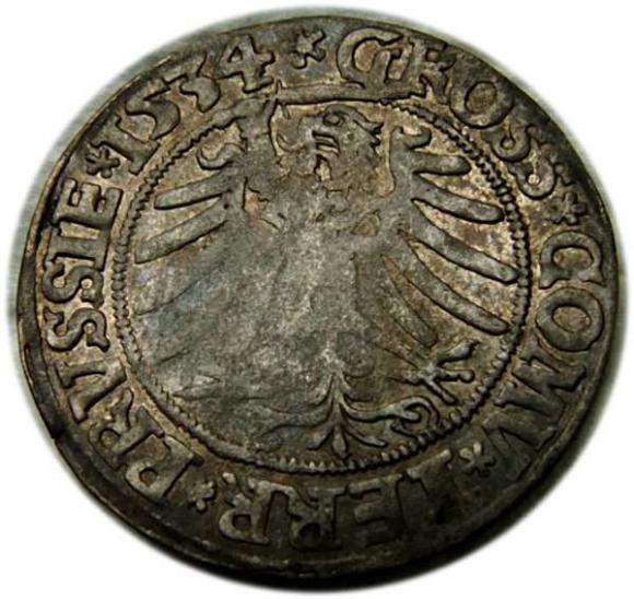 Grosz pruski 1534 Zygmunt I Stary Prusy KrólewskieToruń (2)