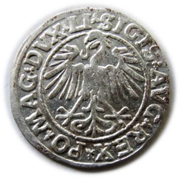 Półgrosz 1547 Zygmunt II August Wilno (2)