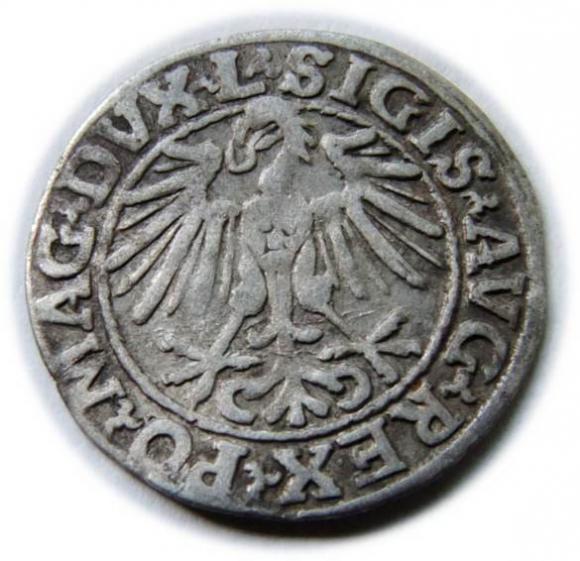 Half groschen 1548 Sigismund II Augustus Vilnius (2)