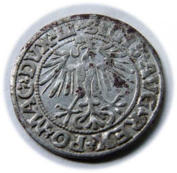 Półgrosz 1549 Zygmunt II August Wilno (2)