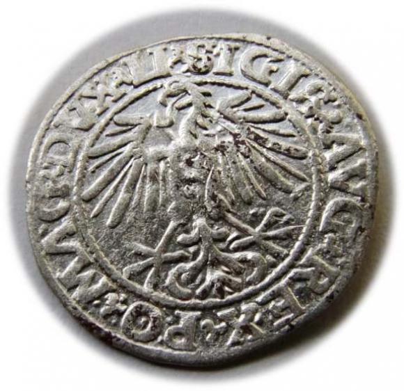 Półgrosz 1549 Zygmunt II August Wilno (2)