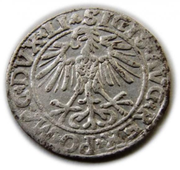 Półgrosz 1550 Zygmunt II August Wilno (2)