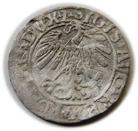 Półgrosz 1558 Zygmunt II August Wilno (2)