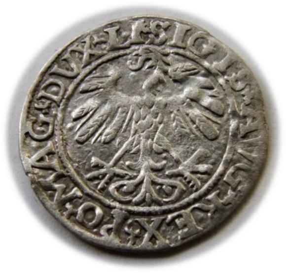 Półgrosz 1558 Zygmunt II August Wilno (2)