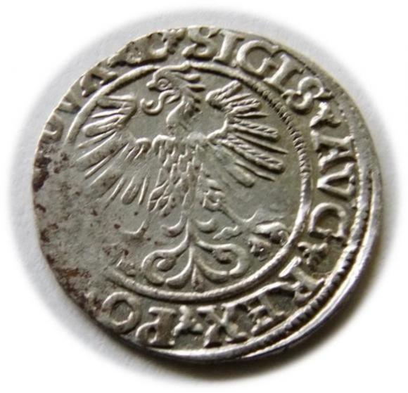 Półgrosz 1560 Zygmunt II August Wilno (2)