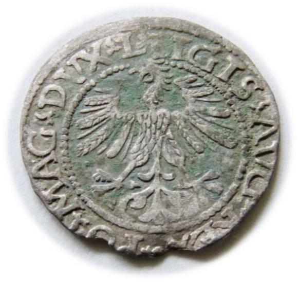 Półgrosz 1561 Zygmunt II August Wilno (2)