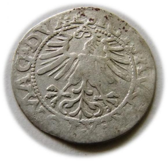 Półgrosz 1562 Zygmunt II August Wilno (2)