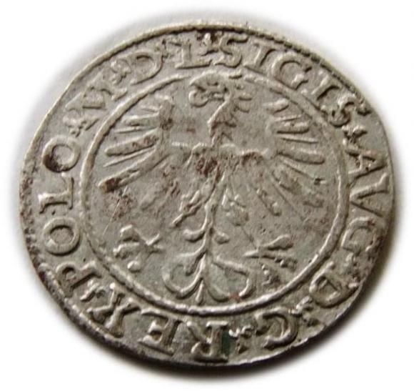 Półgrosz 1564 Zygmunt II August Wilno (2)