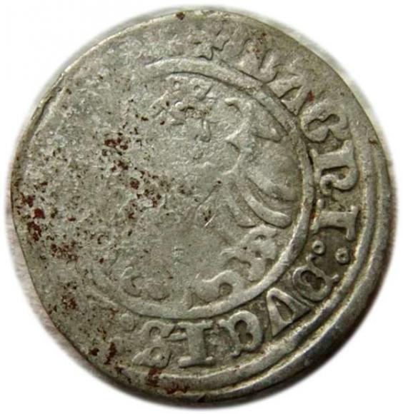 Półgrosz 1509 Zygmunt I Stary Wilno (2)