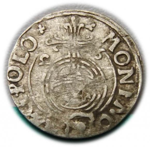 Półtorak 1626 Zygmunt III Waza Bydgoszcz (1)