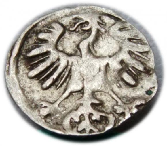 Denar 1555 Zygmunt II August Wilno (2)