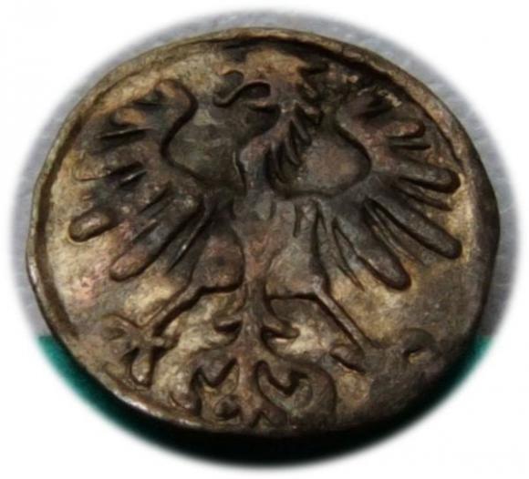 Denar 1555 Zygmunt II August Wilno (2)