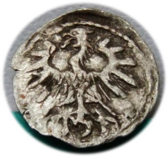 Denar 1555 Zygmunt II August Wilno (2)