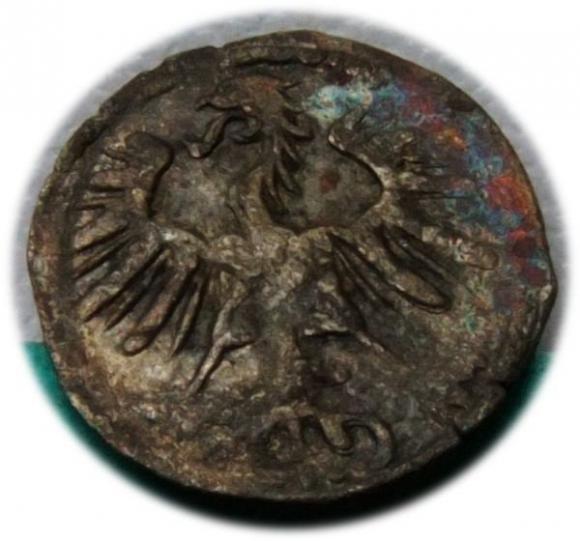 Denar 1555 Zygmunt II August Wilno (2)