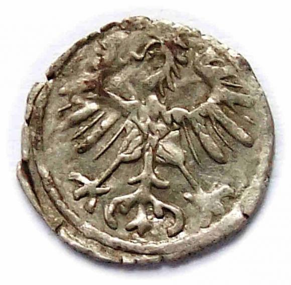 Denar 1555 Zygmunt II August Wilno (2)