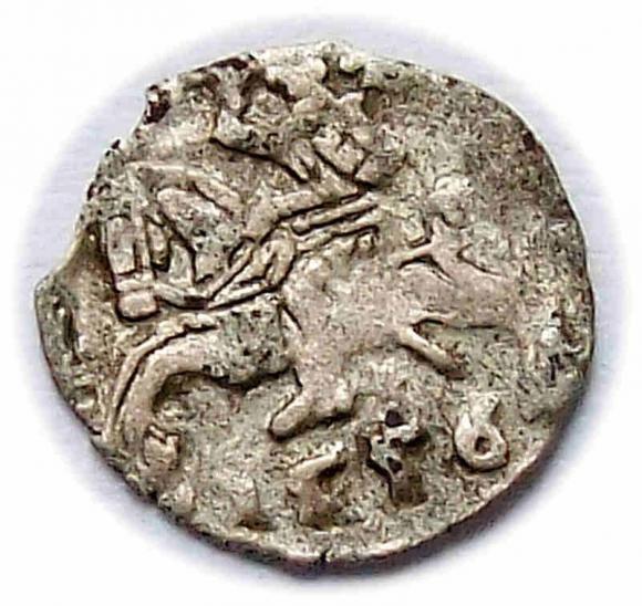 Denar 1556 Zygmunt II August Wilno (1)