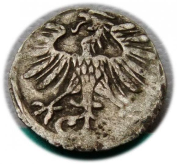 Denar 1556 Zygmunt II August Wilno (2)