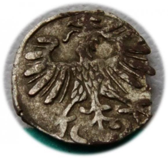 Denar 1556 Zygmunt II August Wilno (2)