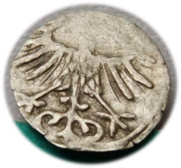 Denar 1557 Zygmunt II August Wilno (2)