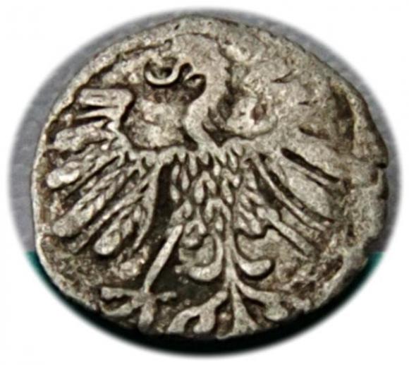 Denar 1558 Zygmunt II August Wilno (2)