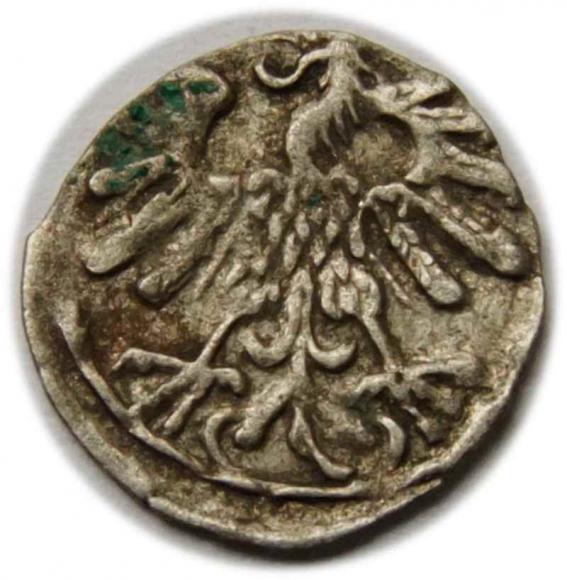 Denar 1558 Zygmunt II August Wilno (2)