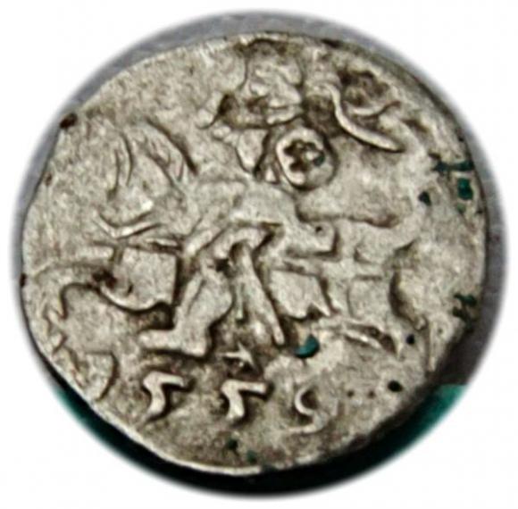 Denar 1559 Zygmunt II August Wilno (1)