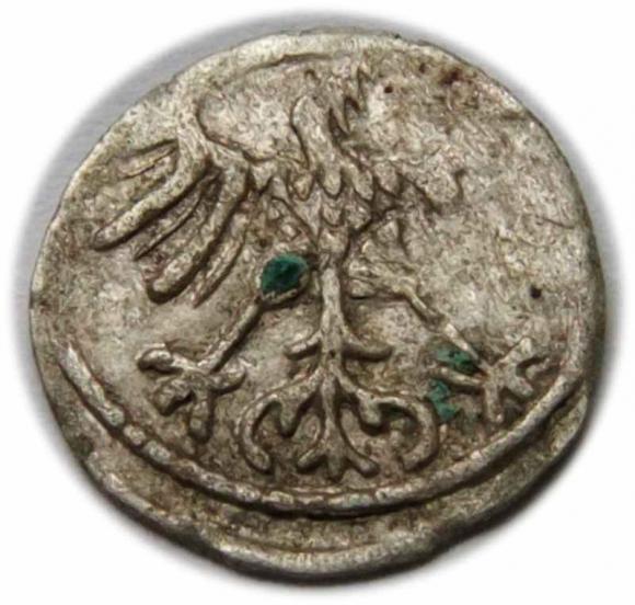 Denar 1555 Zygmunt II August Wilno (2)