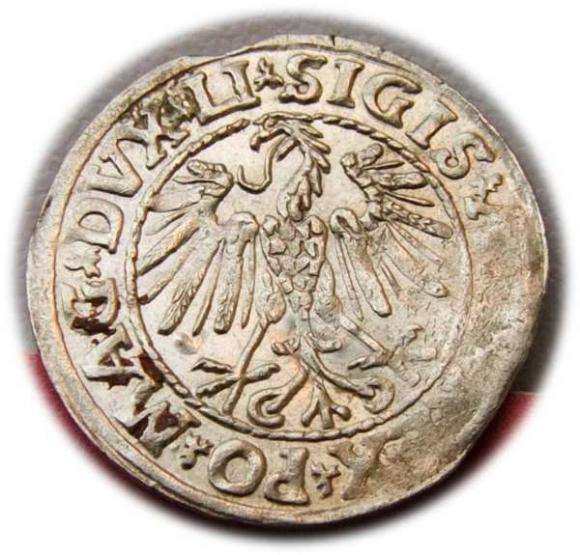 Półgrosz 1547 Zygmunt II August Wilno (2)