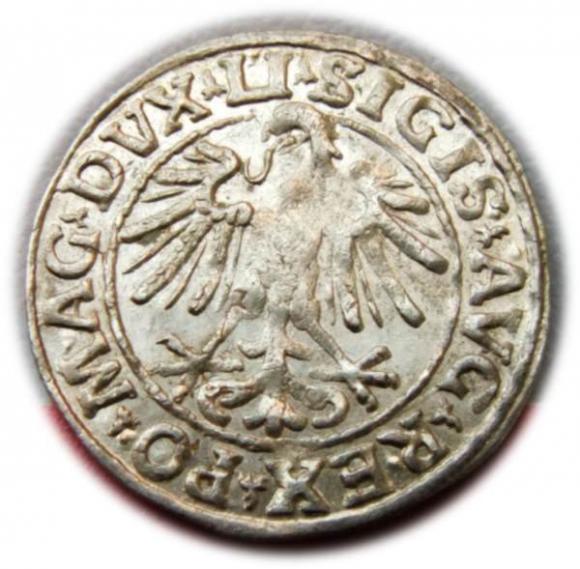 Półgrosz 1547 Zygmunt II August Wilno (2)