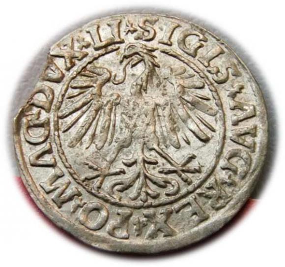 Półgrosz 1547 Zygmunt II August Wilno (2)