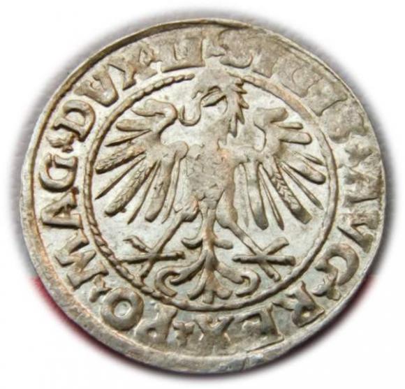 Half groschen 1547 Sigismund II Augustus Vilnius (2)