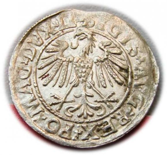 Half groschen 1547 Sigismund II Augustus Vilnius (2)