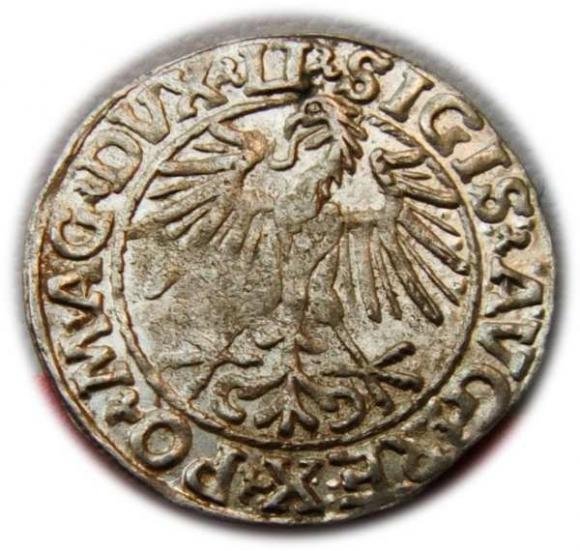 Półgrosz 1548 Zygmunt II August Wilno (2)