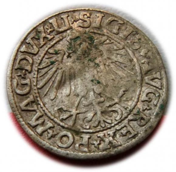 Półgrosz 1549 Zygmunt II August Wilno (2)